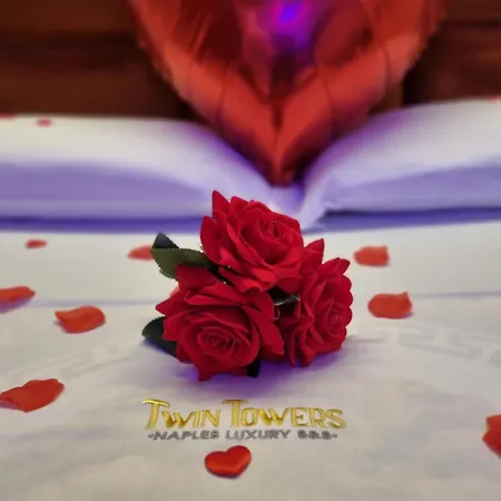 ベッド・アンド・ブレックファスト Twin Towers Luxury ナポリ