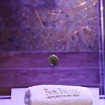 Twin Towers Luxury 4* Neapol